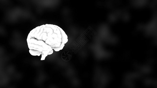 三维人体白脑黑底科学解剖背景三维渲染背景黑底白脑科学解剖背景三维渲染图片