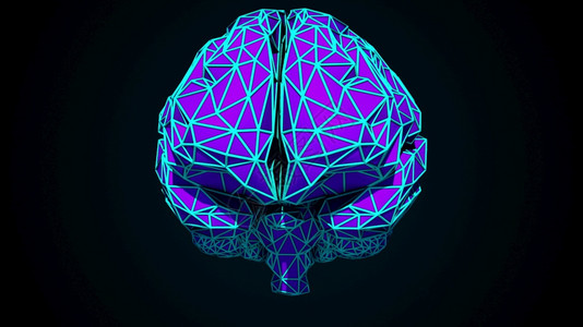 人类大脑由多种边形生成的彩色三角形计算机生成的组合构3D从多边形中生成的大脑数字人工智能类大脑是由多种三角形计算机生成的组合构3图片
