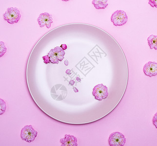 在粉红樱桃花芽中粉红色背景的圆陶瓷板图片
