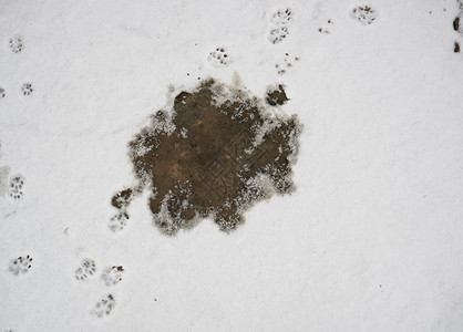 车行道上方的熔雪碎片图片