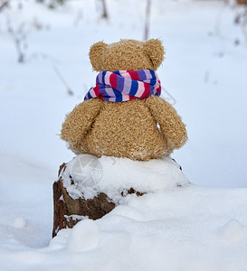 棕色泰迪熊穿着明亮围巾坐在白雪中孤独的概念图片