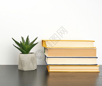 黑桌上的书和有绿色植物的陶瓷锅回学校的概念图片