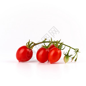 红熟樱桃西番茄绿枝白底西红番茄秋季收成图片