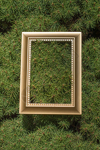 绿草背景上的木图框图片
