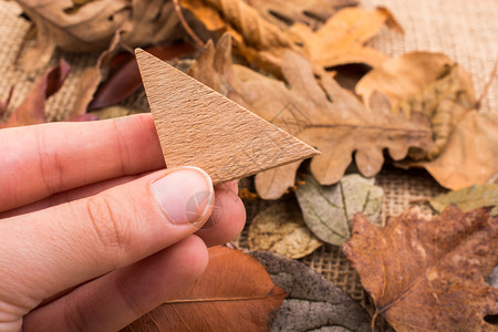 金币矢量手握木三角形在干叶上背景