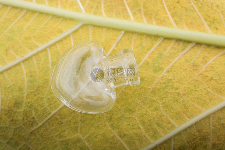 以爱概念的形式在心脏中装瓶塑造图标