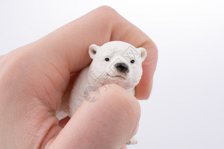 手握白极北熊模型高清图片