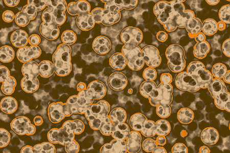 细菌胞的形状共生菌bacilli菌螺旋本底图片