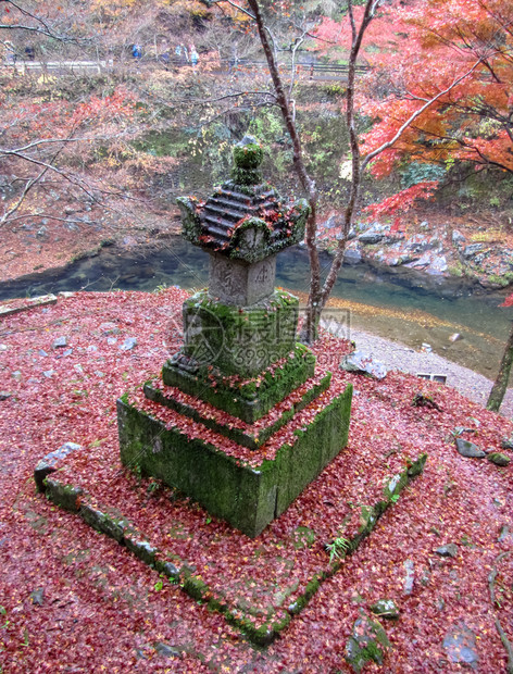 秋天在宫殿的日本院子红叶和黄秋天在宫子的日本院图片