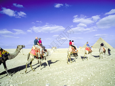 2017年5月3日埃及吉萨人与骆驼图片