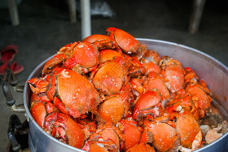 蒸汽海鲜煮海蟹螃红菜泰国背景