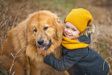 穿着黄帽子和围巾的小女孩摸着一只大红狗的脸图片