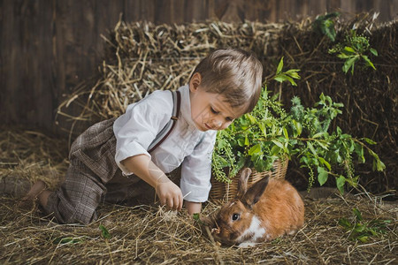 兔子儿童的照片玩动物儿童605图片