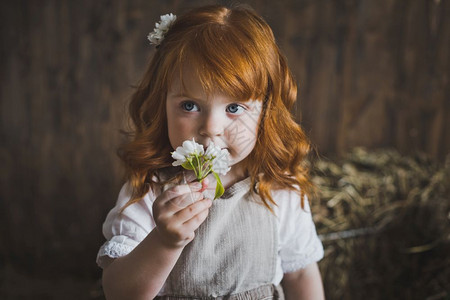 红色头发孩子的肖像和白花红色头发和614花的小女孩近距离肖像背景
