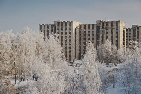 冬季城市风景树木覆盖的豪冻和多层建筑628图片