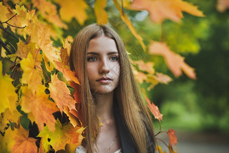 秋天一个女孩的秋天画像在一个女孩的秋天画像图片