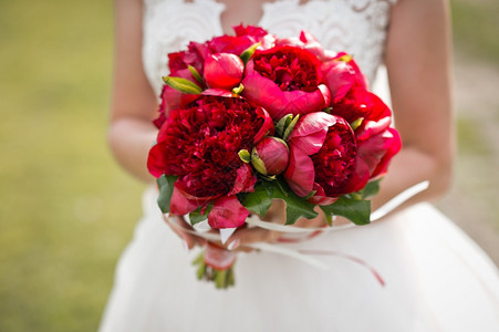 女孩手上有美丽的一束明亮红色花穿着婚纱284的新娘手里有红色的花束背景图片