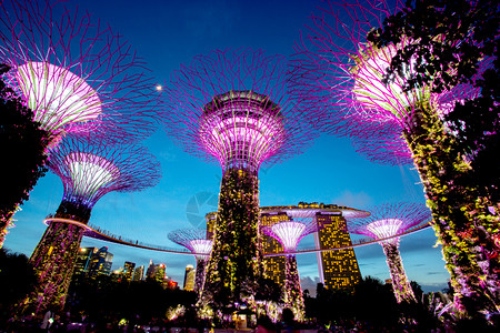 海湾花园SINGAPORE2017年8月6日在海湾边的花园里有超级树像一样的结构配备了模仿树木生态功能的环境技术背景