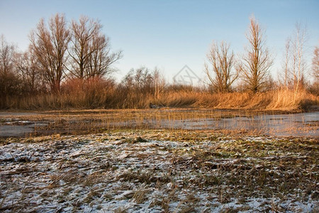 荷兰冻结的沼泽地图片