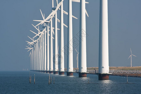 荷兰海岸一带的大风涡轮动物图片