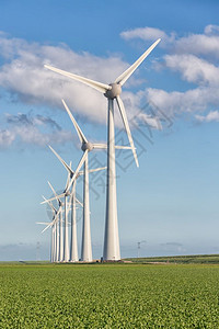 荷兰风光中的风电场有大片的甜菜地荷兰风光中的风电场和甜菜地背景图片