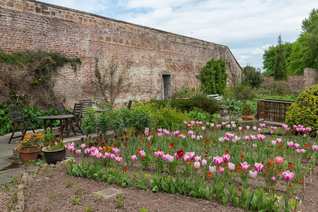 典型的英语庭院有石墙家具和郁金花英语庭院背景图片