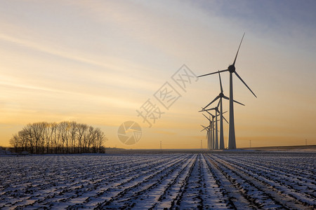 荷兰农村风力涡轮机和冬季积雪覆盖的田地风力涡轮机和冬季积雪图片