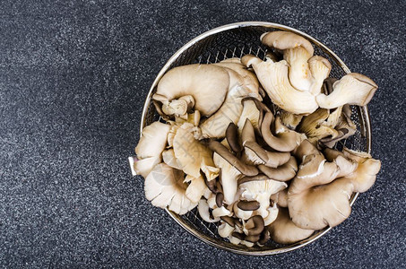 用于灰色背景烹饪的牡菇蘑工作室照片灰色背景烹饪的牡菇蘑图片