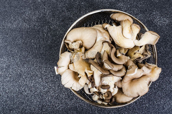 用于灰色背景烹饪的牡菇蘑工作室照片灰色背景烹饪的牡菇蘑图片