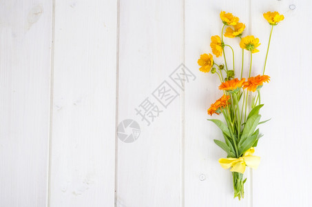 一连串白色背景的橙野花工作室照片图片