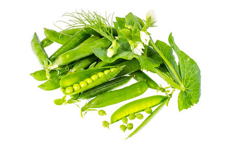 白色背景的成熟绿豆片工作室照白色背景的成熟绿豆片白色背景的成熟绿豆片图片