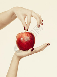 水果食物维生素来源良好的健康营养概念妇女手握美味的红苹果妇女手持美味的红苹果图片