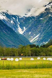 田野上装有草包的农业景观在挪威斯堪的纳维亚欧洲挪威诺韦吉亚夏季用塑料白宝石包裹的干草谷物浆渣图片
