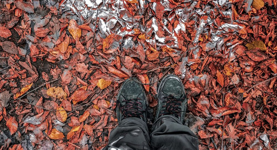 秋天公园景象黄和红落叶跟踪鞋子的顶端视图图片