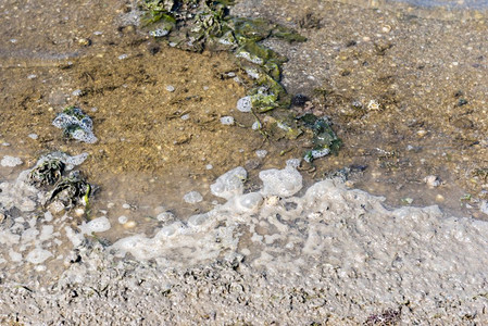 废水环境污染自然肮脏和泡沫水背景污染概念僵化水废环境污染图片