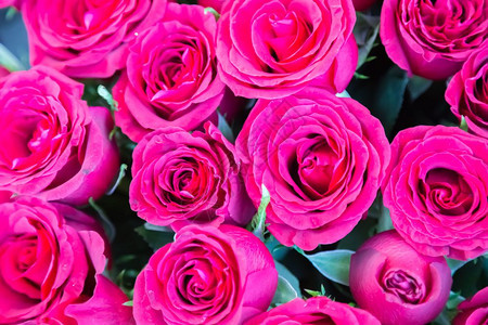 许多粉红玫瑰要卖的近视情人节浪漫的一束新鲜玫瑰花近观许多粉红玫瑰要卖的近观背景图片