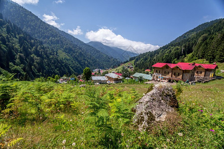 土耳其Rize的Ayder高原景观Ayder谷是夏季旅游的热门目地图片