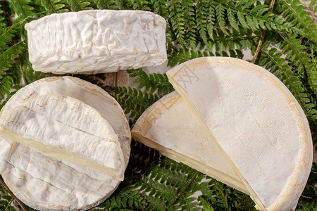 法国奶酪瑞贝罗贡和卡门特背景图片
