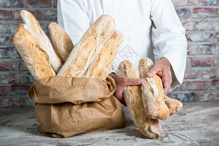厨师橘棕色花猫a面包师持有传统法国面包背景
