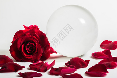 爱情人节背景红玫瑰与水晶球背景图片