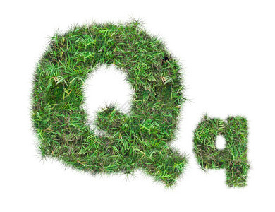 在白色背景上隔离的绿草字母QQ背景图片
