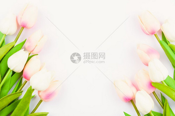 妇女节快乐母亲和情人日的概念顶级视野平的白色背景郁金花复制文本空间图片