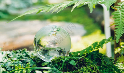 关于自然背景的草林全球玻璃环境日概念图片