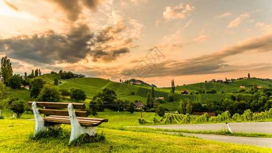 南施蒂里亚葡萄园景观奥地利加姆茨附近的苏尔兹塔夏季在葡萄酒街苏尔兹塔温斯特拉看葡萄山旅游目的地点夏季在奥利施蒂里亚苏尔兹塔温斯特图片
