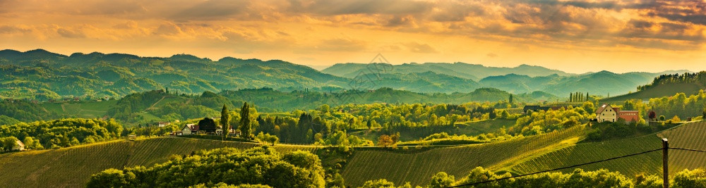 在奥地利的南施蒂里亚著名葡萄酒街奥地利的目象葡萄园山一样的观光景旅游胜地在奥利的南部施蒂里亚著名葡萄酒街像园山那样的观光景图片