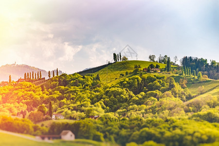 葡萄酒国Styria南部的Styria南面的奥地利葡萄园SulztalLeibnitz地区著名的旅游目地Sunny风景Styri图片