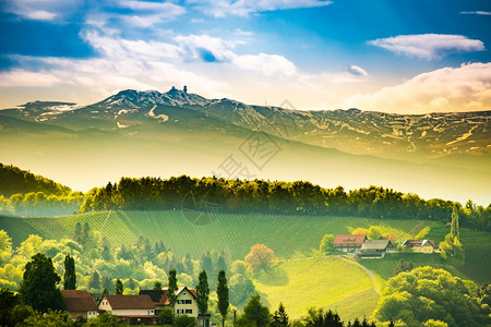 奥地利葡萄园苏尔兹塔莱布尼茨地区酒国施蒂里亚以南著名旅游目的地松尼景色原始图像奥地利葡萄园莱布尼茨地区施蒂里亚以南旅行地点图片