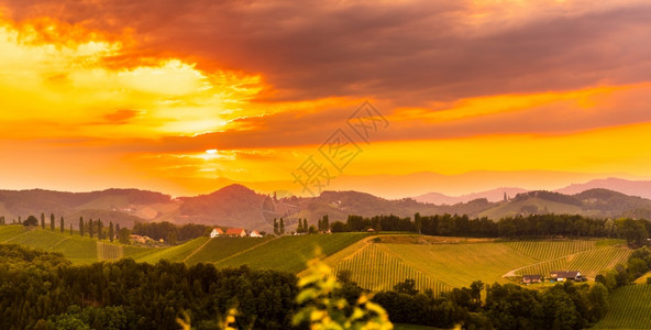 南StyriaVineyards风景全奥地利加姆茨附近的埃克伯格风景夏季日落时在葡萄园景色旅游目的地夏季在南Styria风景场色图片