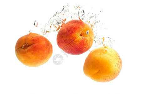白色背景的鲜杏子色背景的喷水健康概念白色背景的鲜杏子色背景的热水喷图片