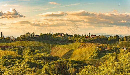 奥地利斯蒂尔马克的南施里亚葡萄园景色被日落淹没奥地利斯蒂尔马克的南施里亚葡萄园景色为著名白葡萄酒参观的美丽宁静之地奥利斯蒂尔马克图片